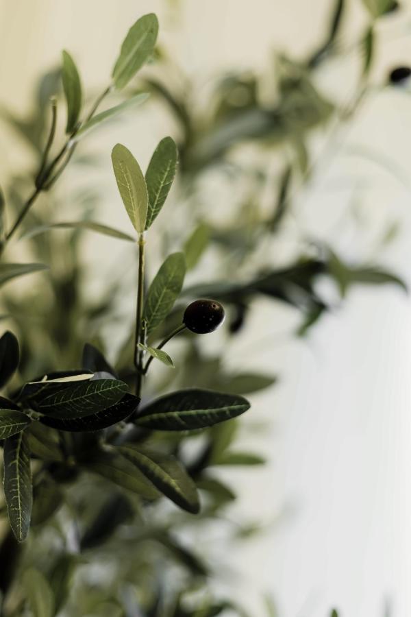 Olive Koukaki Athen
